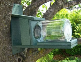 squirrel feeder